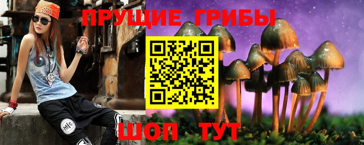 Псилоцибиновые грибы ЛСД Наро-Фоминск